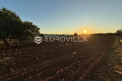 /international/hr/zadar-zadar-county-310106879140/