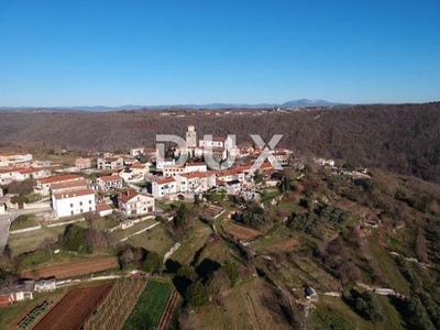 /international/hr/tinjan-istria-county-120097796536/