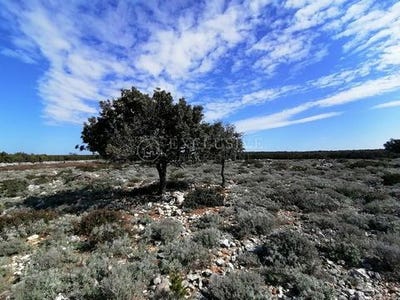 /international/hr/mali-losinj-primorje-gorski-kotar-county-120094148212/