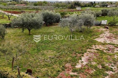 /international/hr/umag-istria-county-310107298638/