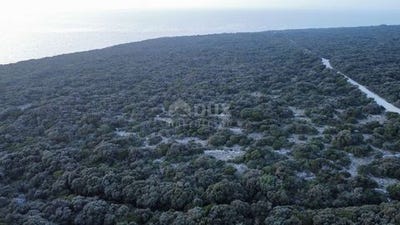 /international/hr/vir-virovitica-podravina-county-120089940004/