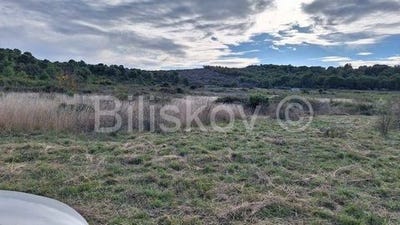 /international/hr/vis-split-dalmatia-county-120089976258/