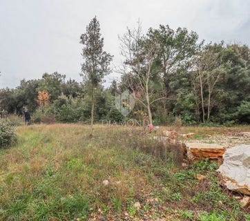 /international/hr/rovinj-istria-county-310104804179/
