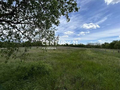 /international/hr/istarska-zupanija-istria-county-310106854727/
