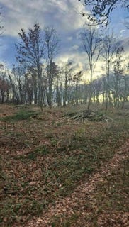 /international/hr/istarska-zupanija-istria-county-310108042364/