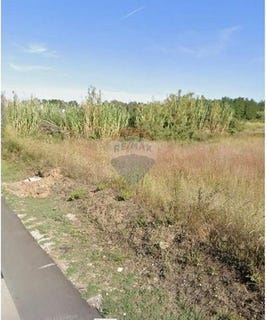 /international/hr/privlaka-vukovar-srijem-county-120098412242/