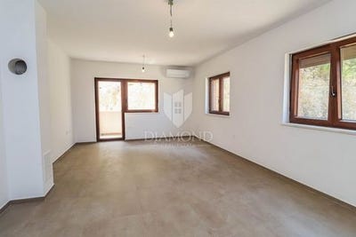 /international/hr/pula-istria-county-310109204766/
