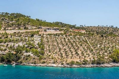 /international/hr/brac-split-dalmatia-county-120078713255/