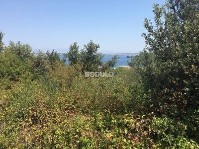 /international/hr/preko-zadar-county-120090892711/