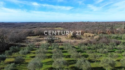 /international/hr/istarska-zupanija-istria-county-310106858686/