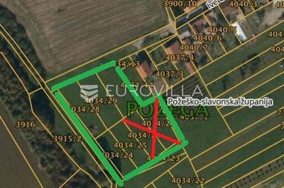 /international/hr/pozega-pozega-slavonia-county-310100460575/
