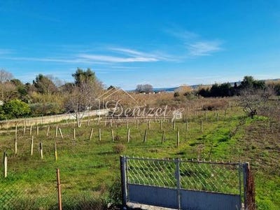 /international/hr/split-split-dalmatia-county-310106139084/