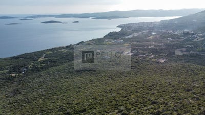 /international/hr/orebi-dubrovnik-neretva-county-310107239181/