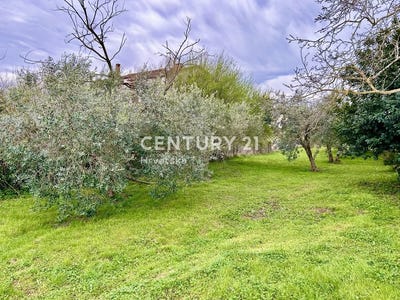 /international/hr/istarska-zupanija-istria-county-310106854850/