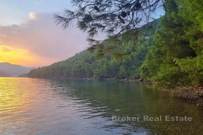 /international/hr/kuna-peljeka-dubrovnik-neretva-county-310107218724/