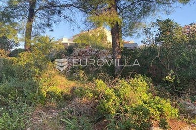 /international/hr/brac-split-dalmatia-county-120089958704/