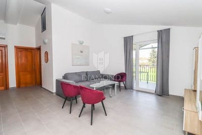 /international/hr/liznjan-istria-county-310099631686/
