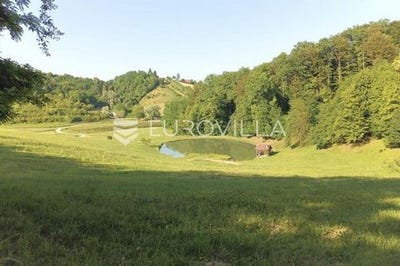/international/hr/varazdin-varazdin-county-310107446679/