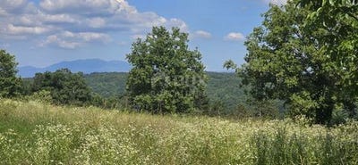 /international/hr/tinjan-istria-county-120092947911/