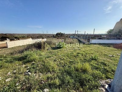 /international/hr/nin-zadar-county-310106361499/