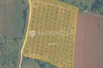/international/hr/novigrad-istria-county-310101378227/