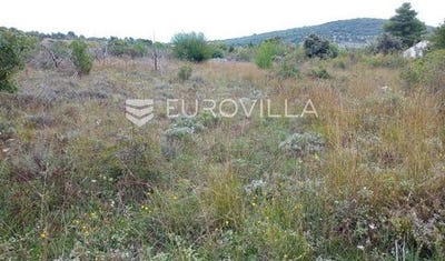 /international/hr/supetar-split-dalmatia-county-310102674726/