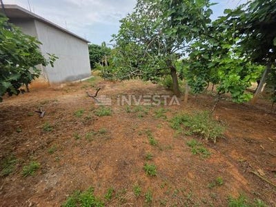 /international/hr/fazana-istria-county-310100460883/?lang=zh-tw