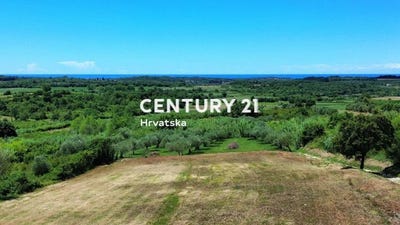 /international/hr/istarska-zupanija-istria-county-310106858546/