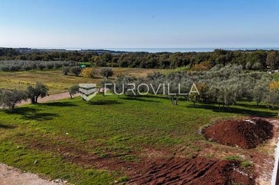 /international/hr/novigrad-istria-county-310103194775/