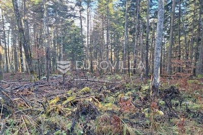 /international/hr/karlovac-karlovac-county-310108136214/