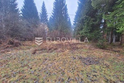 /international/hr/karlovac-karlovac-county-310105897353/