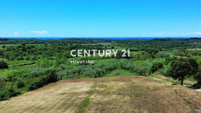 /international/hr/istarska-zupanija-istria-county-310106858191/