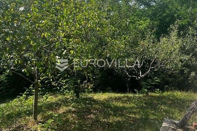 /international/hr/slavonski-brod-brod-posavina-county-310101927464/
