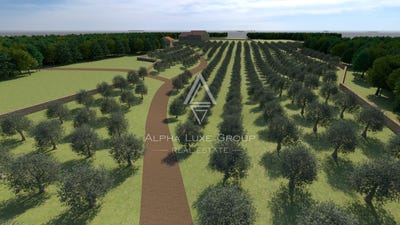 /international/hr/istarska-zupanija-istria-county-310103745589/