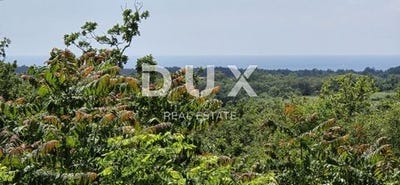 /international/hr/buje-istria-county-120096362817/