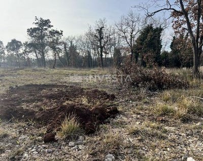 /international/hr/barban-istria-county-310105301819/