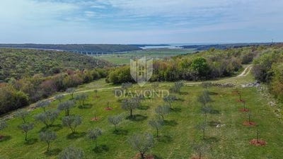 /international/hr/novigrad-istria-county-310098837269/