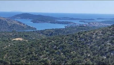 /international/hr/jarebinjak-sibenska-ulica-310106162494/