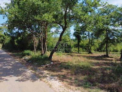 /international/hr/istarska-zupanija-istria-county-310105827704/