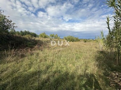 /international/hr/privlaka-vukovar-srijem-county-310102672723/
