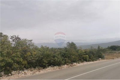 /international/hr/novigrad-istria-county-120092198602/