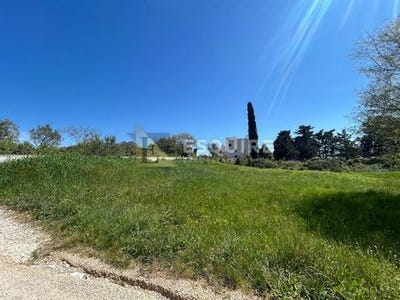 /international/hr/zadar-zadar-county-310108247315/