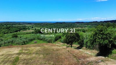 /international/hr/istarska-zupanija-istria-county-310106857451/