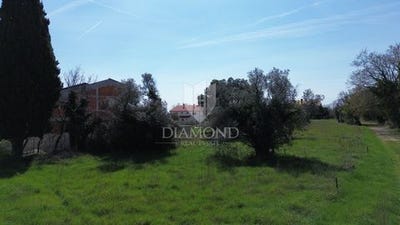 /international/hr/marcana-istria-county-120091066219/