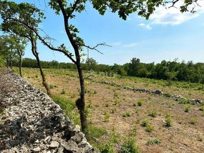 /international/hr/rasa-istria-county-120093628766/