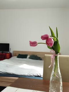 /international/hu/murakozi-utca-budapest-budapest-310093856455/