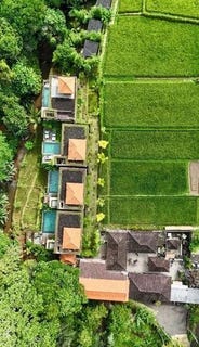 /international/id/ubud-bali-310120010929/