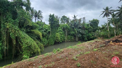 /international/id/saba-gianyar-bali-310101156658/?lang=zh-cn