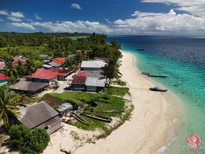 /international/id/jati-km0-tua-pejat-mentawai-west-sumatra-310101206458/?lang=it