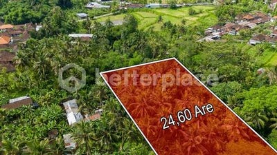 /international/id/ubud-bali-310109651912/